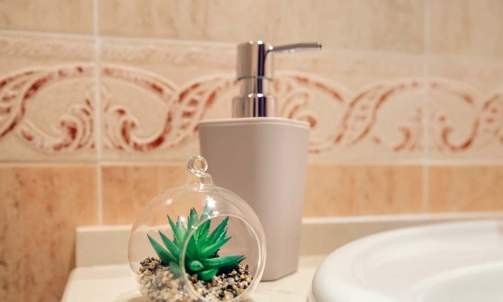 Keep a Small Succulent on the Bathroom Countertop