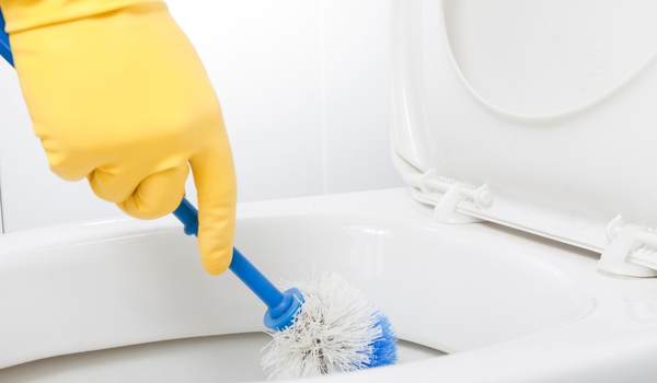 Brush use for clean Drain