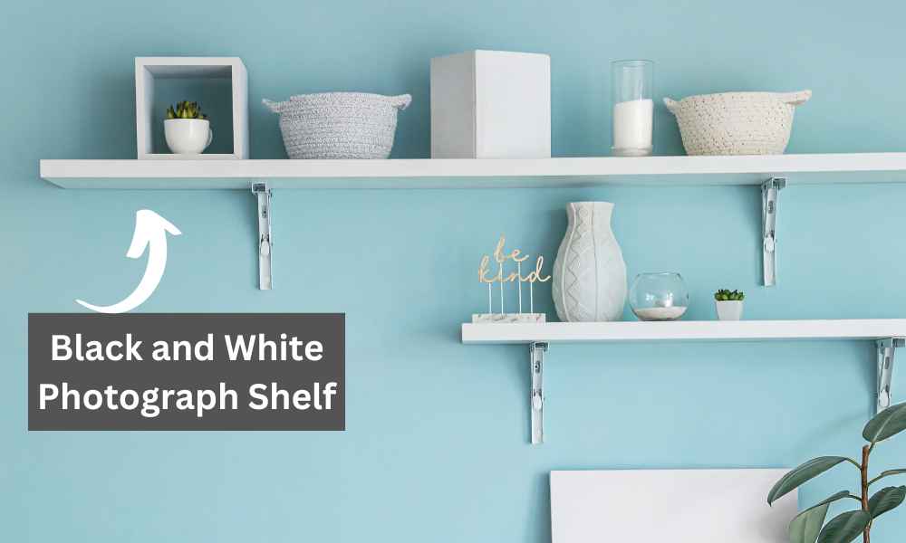 Black and White Photograph Shelf