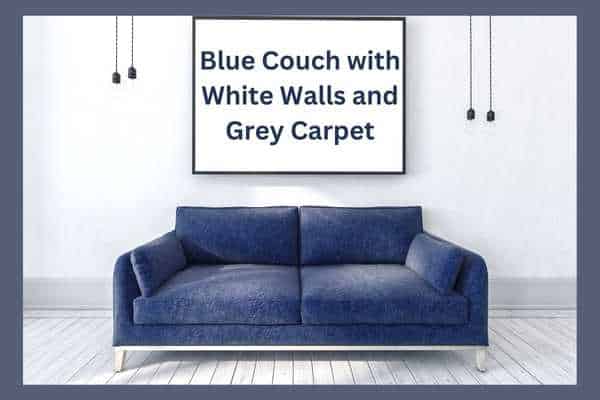 Blue Couch with White Walls and Grey Carpet