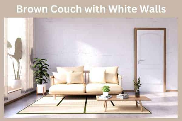 Brown Couch with White Walls