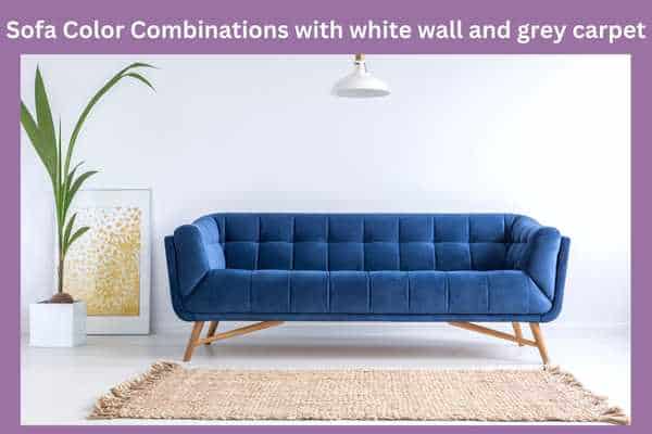 Sofa Color Combinations with white wall and grey carpet